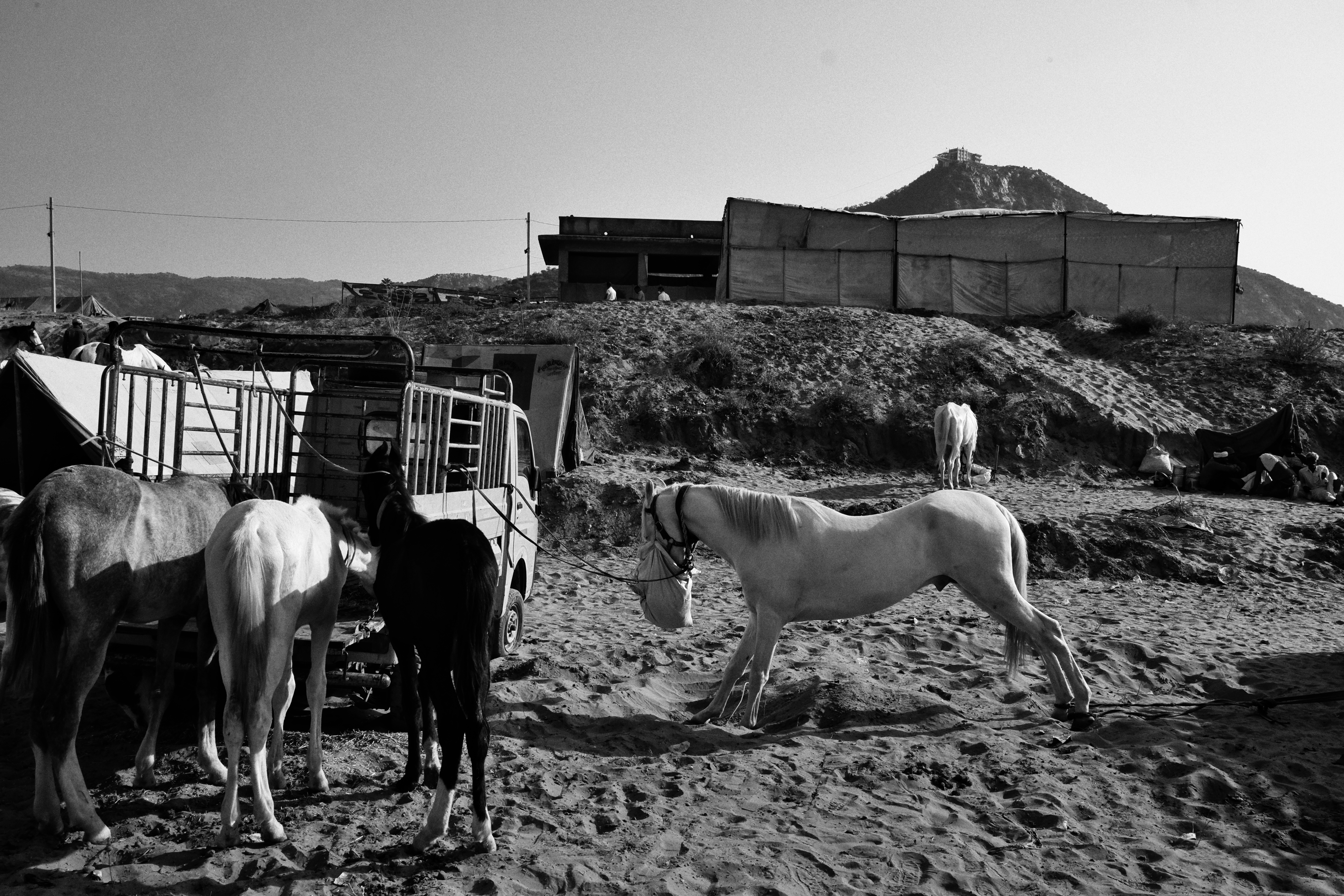 Life in Pushkar photograph 19